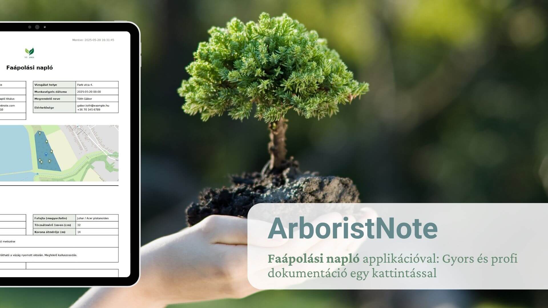 You are currently viewing Készíts faápolási naplót könnyedén az ArboristNote applikációval!
